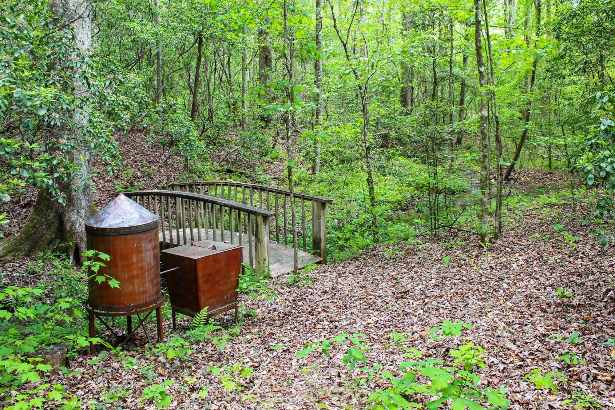 Sautee Nacoochee Mtn Paradise With Spacious Deck! Esterno foto